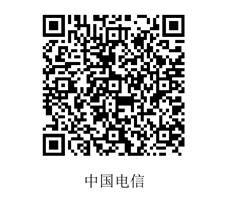 中国电信查询码
